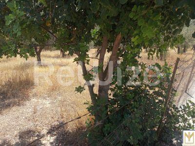 Photo 4,Εξωτερική,ΠΏΛΗΣΗ,Γη,Αγροτεμάχιο,5794τ.μ,€246,000,Κρανίδι