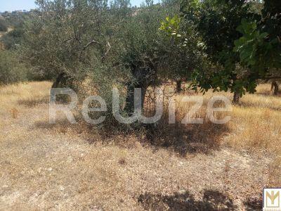 Photo 3,Εξωτερική,ΠΏΛΗΣΗ,Γη,Αγροτεμάχιο,5794τ.μ,€246,000,Κρανίδι