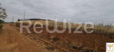 Photo 4,Εξωτερική,ΠΏΛΗΣΗ,Γη,Αγροτεμάχιο,2750τ.μ,€30,000,Άγιος Μάμας