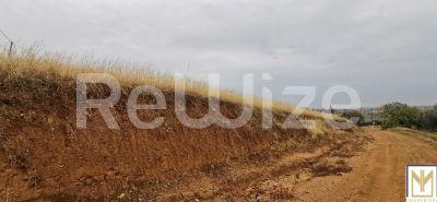 Photo 7,Εξωτερική,ΠΏΛΗΣΗ,Γη,Αγροτεμάχιο,2750τ.μ,€30,000,Άγιος Μάμας