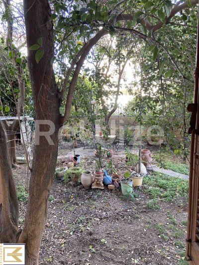 Photo 14,Κήπος,ΠΏΛΗΣΗ,Κατοικία,Διαμέρισμα,128τ.μ,€138,000,Νέα Φιλαδέλφεια