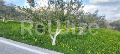 Photo 1,Εξωτερική,ΕΝΟΙΚΊΑΣΗ,Γη,Αγροτεμάχιο,529τ.μ,€4,000,Ληξούρι