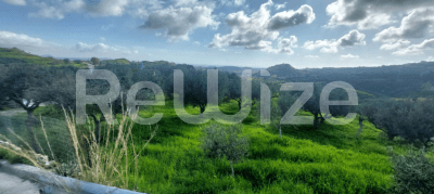 Photo 2,Εξωτερική,ΕΝΟΙΚΊΑΣΗ,Γη,Αγροτεμάχιο,529τ.μ,€4,000,Ληξούρι