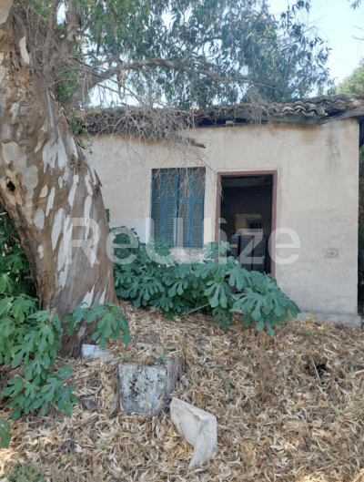 Photo 3,Κήπος,ΕΝΟΙΚΊΑΣΗ,Γη,Οικόπεδο,396τ.μ,€36,000,Ζάκυνθος