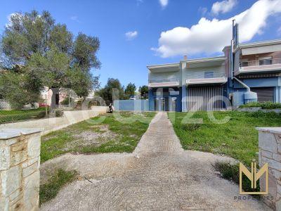 Photo 1,Κήπος,ΠΏΛΗΣΗ,Επαγγελματικό,Κατάστημα,204τ.μ,€305,000,Σαρωνίδα