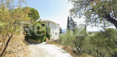 Photo 1,Κήπος,ΕΝΟΙΚΊΑΣΗ,Κατοικία,Μονοκατοικία,343τ.μ,€435,000,Ζάκυνθος