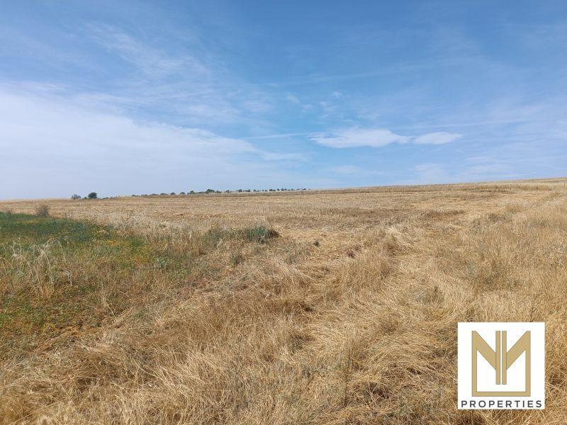 Photo 3,Εξωτερική,ΠΏΛΗΣΗ,Γη,Οικόπεδο,4485τ.μ,€9,500,Άγιος Αθανάσιος