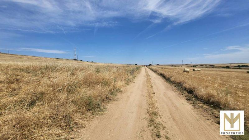 Photo 2,Εξωτερική,ΠΏΛΗΣΗ,Γη,Οικόπεδο,5788τ.μ,€12,000,Άγιος Αθανάσιος