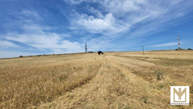 Photo 5,Εξωτερική,ΠΏΛΗΣΗ,Γη,Οικόπεδο,5788τ.μ,€12,000,Άγιος Αθανάσιος