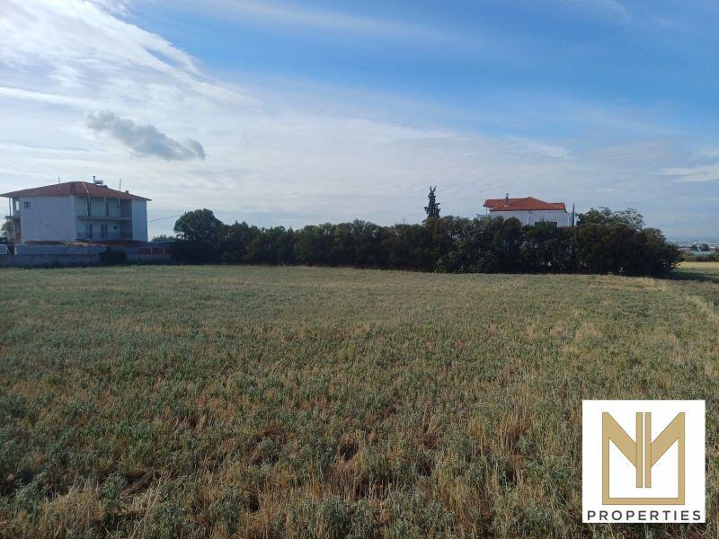 Photo 4,Εξωτερική,ΠΏΛΗΣΗ,Γη,Οικόπεδο,10188τ.μ,€80,000,Νεοχωρούδα