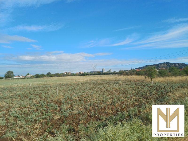 Photo 12,Εξωτερική,ΠΏΛΗΣΗ,Γη,Οικόπεδο,10188τ.μ,€80,000,Νεοχωρούδα