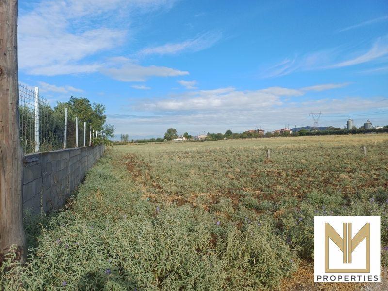 Photo 7,Εξωτερική,ΠΏΛΗΣΗ,Γη,Οικόπεδο,10188τ.μ,€80,000,Νεοχωρούδα