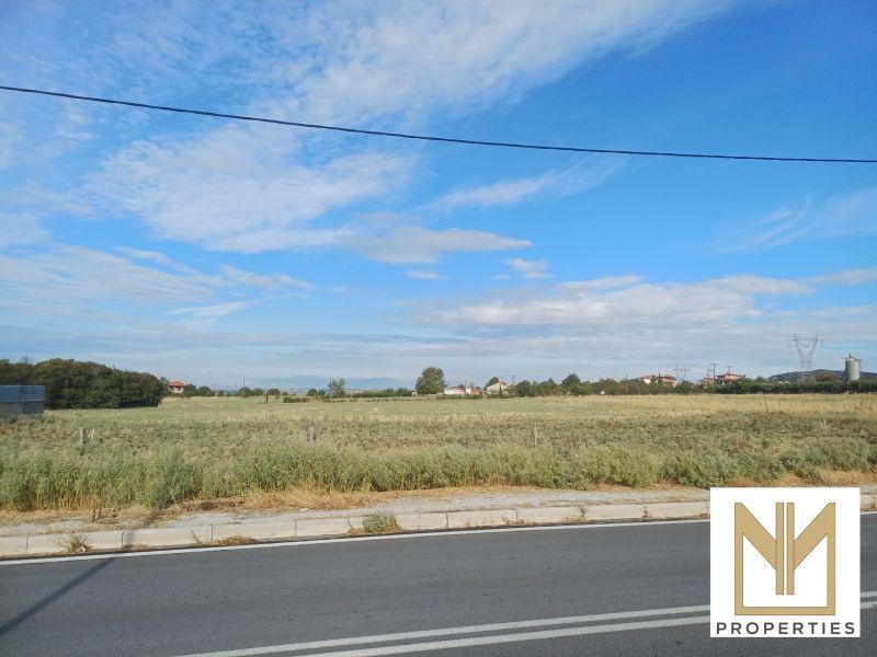 Photo 9,Εξωτερική,ΠΏΛΗΣΗ,Γη,Οικόπεδο,10188τ.μ,€80,000,Νεοχωρούδα