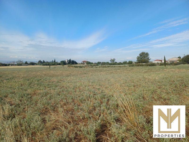 Photo 3,Εξωτερική,ΠΏΛΗΣΗ,Γη,Οικόπεδο,10188τ.μ,€80,000,Νεοχωρούδα