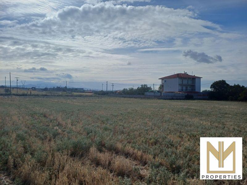 Photo 13,Εξωτερική,ΠΏΛΗΣΗ,Γη,Οικόπεδο,10188τ.μ,€80,000,Νεοχωρούδα