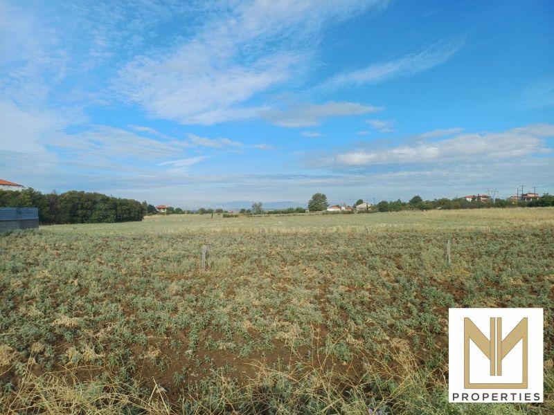 Photo 11,Εξωτερική,ΠΏΛΗΣΗ,Γη,Οικόπεδο,10188τ.μ,€80,000,Νεοχωρούδα