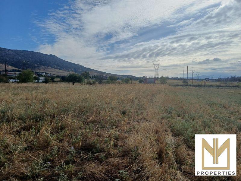 Photo 2,Εξωτερική,ΠΏΛΗΣΗ,Γη,Οικόπεδο,10188τ.μ,€80,000,Νεοχωρούδα