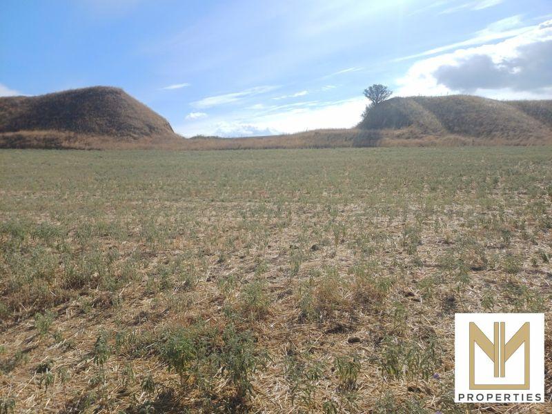 Photo 9,Εξωτερική,ΠΏΛΗΣΗ,Γη,Αγροτεμάχιο,2750τ.μ,€18,000,Νεοχωρούδα