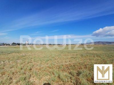 Photo 2,Εξωτερική,ΠΏΛΗΣΗ,Γη,Αγροτεμάχιο,2750τ.μ,€18,000,Νεοχωρούδα