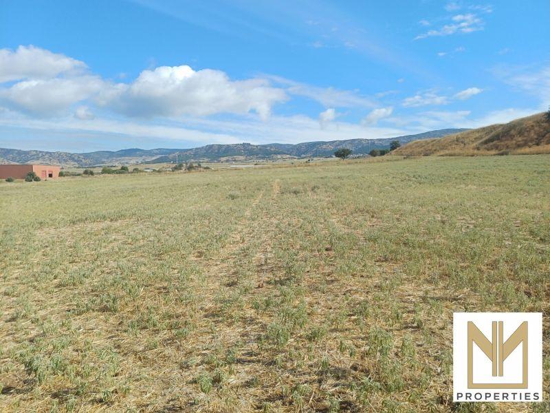 Photo 11,Εξωτερική,ΠΏΛΗΣΗ,Γη,Αγροτεμάχιο,2750τ.μ,€18,000,Νεοχωρούδα