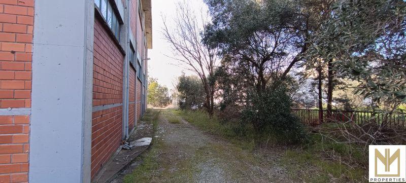 Photo 10,Εξωτερική,ΠΏΛΗΣΗ,Επαγγελματικό,Βιομηχανικό Κτίριο,1988τ.μ,€725,000,Θέρμη