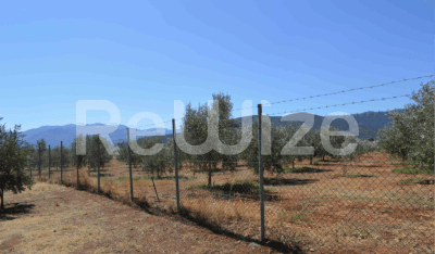 Photo 4,Εξωτερική,ΕΝΟΙΚΊΑΣΗ,Γη,Αγροτεμάχιο,25873τ.μ,€148,000,Βόρεια Κυνουρία