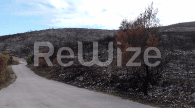 Photo 2,Εξωτερική,ΕΝΟΙΚΊΑΣΗ,Γη,Αγροτεμάχιο,204791τ.μ,€110,000,Ζάκυνθος