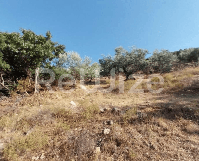 Photo 3,Εξωτερική,ΕΝΟΙΚΊΑΣΗ,Γη,Αγροτεμάχιο,4190τ.μ,€39,000,Βόρεια Κυνουρία