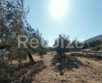 Photo 1,Εξωτερική,ΕΝΟΙΚΊΑΣΗ,Γη,Αγροτεμάχιο,1814τ.μ,€25,000,Βόρεια Κυνουρία