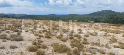 Photo 1,Εξωτερική,ΕΝΟΙΚΊΑΣΗ,Γη,Αγροτεμάχιο,5261τ.μ,€11,000,Αργοστόλι