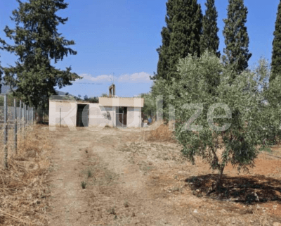 Photo 1,Εξωτερική,ΕΝΟΙΚΊΑΣΗ,Γη,Αγροτεμάχιο,105τ.μ,€3,000,Βόρεια Κυνουρία