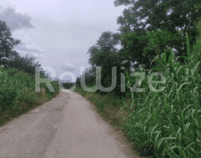 Photo 2,Κήπος,ΕΝΟΙΚΊΑΣΗ,Γη,Αγροτεμάχιο,1859τ.μ,€6,000,Παναιτώλιο