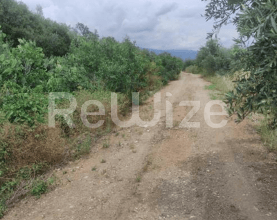 Photo 2,Εξωτερική,ΕΝΟΙΚΊΑΣΗ,Γη,Αγροτεμάχιο,3502τ.μ,€9,000,Παναιτώλιο