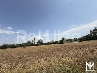 Photo 7,Εξωτερική,ΠΏΛΗΣΗ,Γη,Αγροτεμάχιο,11495τ.μ,€100,000,Σέρρες