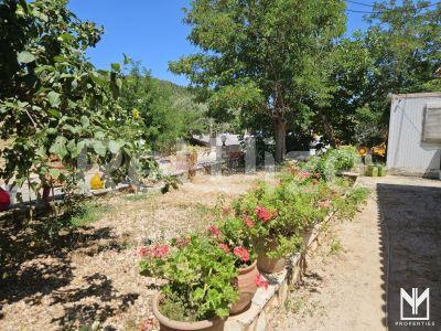 Photo 11,Κήπος,ΠΏΛΗΣΗ,Κατοικία,Διαμέρισμα,72τ.μ,€85,000,Λευκάδα