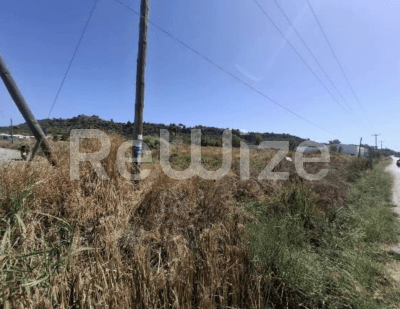 Photo 2,Εξωτερική,ΕΝΟΙΚΊΑΣΗ,Γη,Αγροτεμάχιο,3209τ.μ,€26,000,Ζάκυνθος