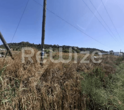 Photo 1,Εξωτερική,ΕΝΟΙΚΊΑΣΗ,Γη,Αγροτεμάχιο,1800τ.μ,€15,000,Ζάκυνθος