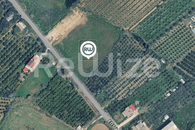 Photo 5,Εξωτερική,ΕΝΟΙΚΊΑΣΗ,Γη,Αγροτεμάχιο,3926τ.μ,€20,000,Ευηνοχώρι