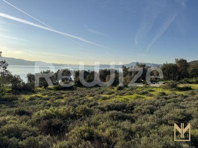 Photo 4,Εξωτερική,ΠΏΛΗΣΗ,Γη,Οικόπεδο,5911τ.μ,€78,100,Μυτιλήνη