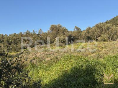 Photo 8,Εξωτερική,ΠΏΛΗΣΗ,Γη,Οικόπεδο,5911τ.μ,€78,100,Μυτιλήνη