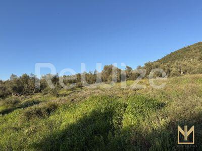 Photo 5,Εξωτερική,ΠΏΛΗΣΗ,Γη,Οικόπεδο,5911τ.μ,€78,100,Μυτιλήνη