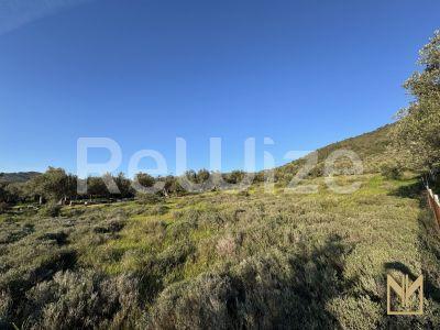 Photo 3,Εξωτερική,ΠΏΛΗΣΗ,Γη,Οικόπεδο,5911τ.μ,€78,100,Μυτιλήνη