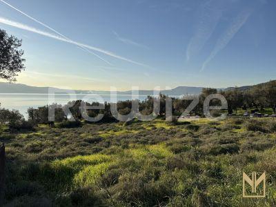 Photo 7,Εξωτερική,ΠΏΛΗΣΗ,Γη,Οικόπεδο,5911τ.μ,€78,100,Μυτιλήνη