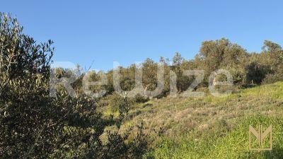 Photo 11,Εξωτερική,ΠΏΛΗΣΗ,Γη,Οικόπεδο,5911τ.μ,€78,100,Μυτιλήνη