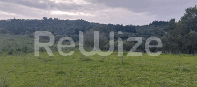 Photo 1,Εξωτερική,ΕΝΟΙΚΊΑΣΗ,Γη,Αγροτεμάχιο,4027τ.μ,€52,000,Ληξούρι
