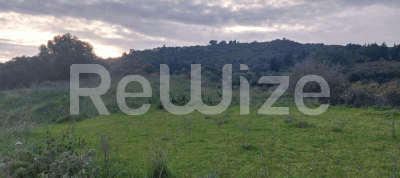 Photo 2,Εξωτερική,ΕΝΟΙΚΊΑΣΗ,Γη,Αγροτεμάχιο,4027τ.μ,€52,000,Ληξούρι
