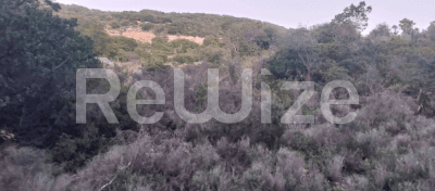 Photo 2,Θέα στη θάλασσα,ΕΝΟΙΚΊΑΣΗ,Γη,Αγροτεμάχιο,3000τ.μ,€10,000,Αργοστόλι