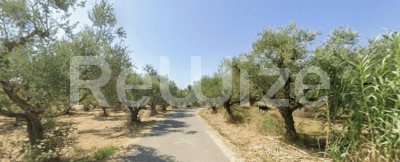 Photo 2,Κήπος,ΕΝΟΙΚΊΑΣΗ,Γη,Αγροτεμάχιο,4460τ.μ,€88,000,Ζάκυνθος