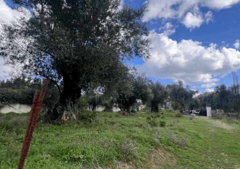 Photo 1,Πανοραμική Θέα,ΕΝΟΙΚΊΑΣΗ,Γη,Αγροτεμάχιο,1040τ.μ,€94,000,Ζάκυνθος