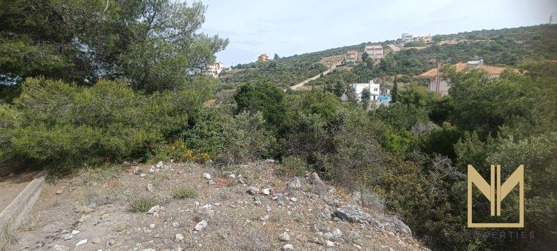 Photo 5,Θέα στο Βουνό,ΠΏΛΗΣΗ,Γη,Αγροτεμάχιο,1037τ.μ,€74,000,Μαλεσίνα